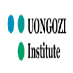 UONGOZI INSTITUTE Internships, June 2023 – Ajira Nasi